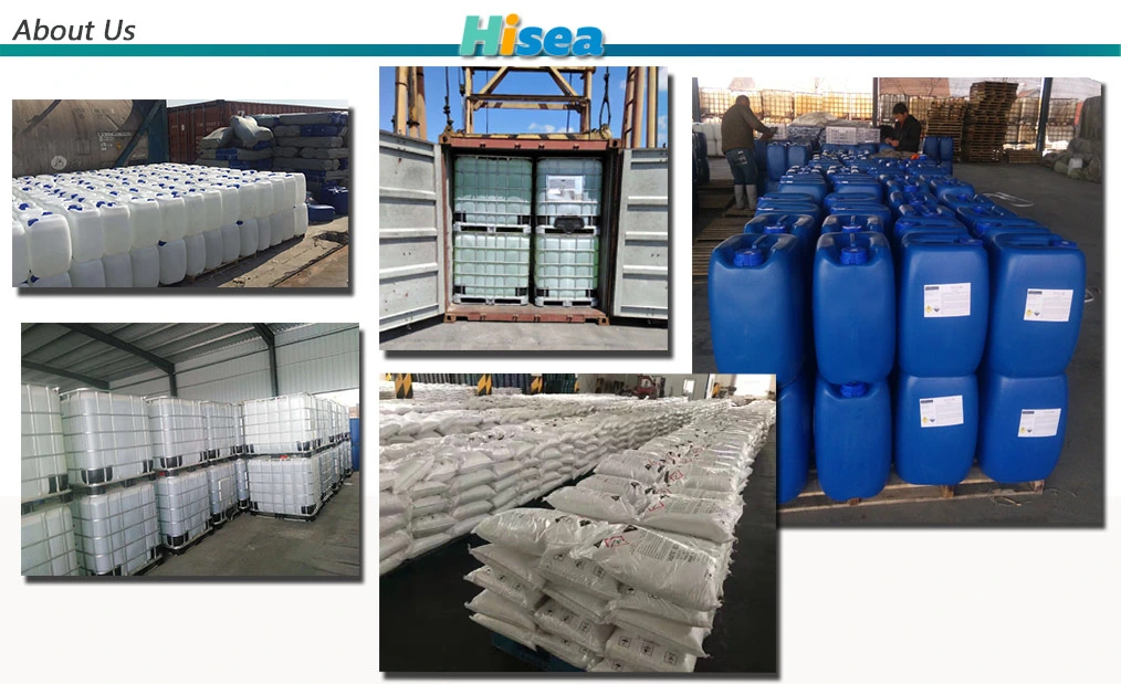 Diisooctyl Sebacate Plasticizer Cold-Resistant DOS-CAS. No 122-62-3